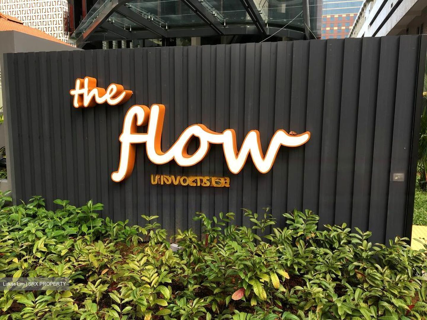The Flow (D15), Shop House #586541461
